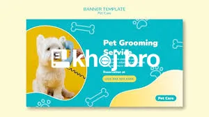   Specialized Grooming That Cleans and Trims While Building Bond With 