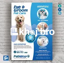   Seasonal Grooming Packages That Protect Your Dog’s Coat in Any Weath