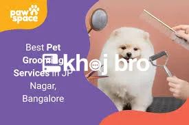   Modern Grooming Salon With Climate Controlled Environment and Pet En