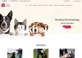   Groomers Who Treat Pets Like Family Delivering Comfort with Every Gr