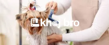   Grooming Designed to Improve Your Dog’s Confidence and Overall Perso