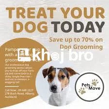   Create Memorable Moments for Pets With Luxury Grooming and Spa Treat