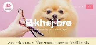   Innovative Grooming Options With Creative Haircuts and Pet Styling A