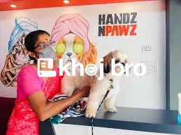   Grooming With a Focus on Hygiene, Comfort, and Personalized Fur Styl