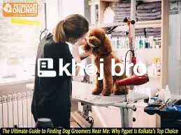   Grooming With Luxury Spa Treatments That Make Every Dog Feel Loved a