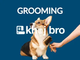   Luxury Grooming Services With Stylish Finishes and Select Accessorie