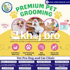   Groom Your Dog with Salon-Quality Cuts and Organic Care Right in You
