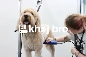   Grooming That Turns Routine Hygiene Into a Luxurious Experience for 