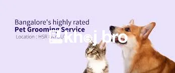   Groomers Offering Seasonal Packages with Fur Trims to Suit Weather C