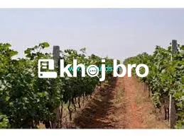 Large plot with factory for sale offering excellent prospects for manu