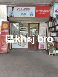   Reliable Bird Clinics for Emergency Wing, Beak, and Feather Treatmen