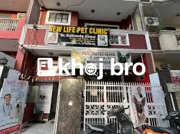   Exotic Bird Clinics Providing Expert Treatment for All Avian Disease