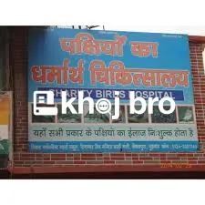   Exotic Bird Health Clinics Specialized in Parrots and Pet Finches