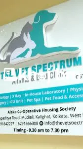   Reliable Bird Clinic Services Including Surgery and Post-Care Suppor