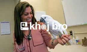   Affordable Bird Clinics Near Me with Trained Avian Health Specialist
