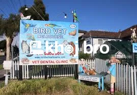   Emergency Avian Clinics with On-Call Bird Specialists for Pet Owners