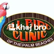   Affordable Bird Hospitals Providing Support for Pet Bird Emergencies