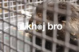   Reliable Bird Clinics for Preventive Health Examinations and Advice