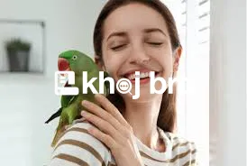   Exotic Bird Veterinarian Clinics with Latest Equipment for Fast Diag
