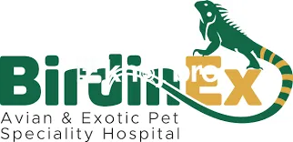   Bird Hospitals Capable of Handling Critical Emergency Avian Surgerie