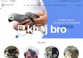   Experienced Bird Veterinary Clinics For Chronic Illnesses in Exotic 