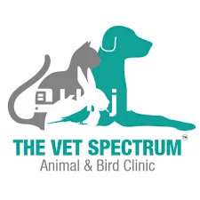   Bird Clinics With Specialized Doctors For Pediatric Care of Baby Bir
