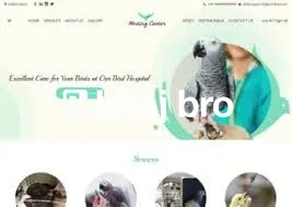   Reliable Bird Veterinary Clinics for All Parrot and Macaw Breeds
