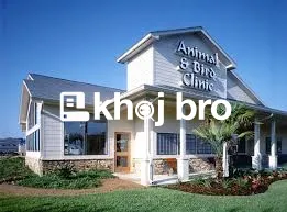   Specialized Bird Clinics With Advanced ICU and Emergency Care Servic