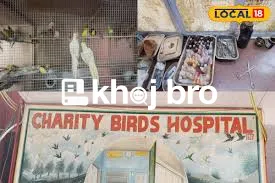   Comprehensive Bird Clinics With Grooming, Vaccination, and Surgery C