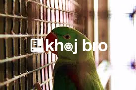   Affordable Bird Grooming Clinics Providing Hygienic Care for Exotic 