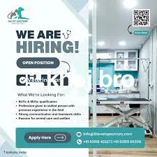   Bird Clinics With 24x7 Emergency Wings for Accidents and Critical Bi