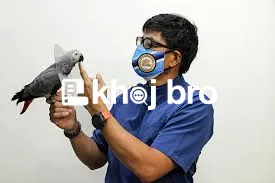   Bird Health Clinics Dedicated To Healthy Lifestyle and Proper Groomi