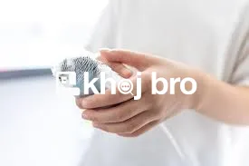   Bird Hospitals Offering Comprehensive Packages for Feather Grooming