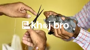   Advanced Bird Clinics Committed to Offering Best Exotic Pet Care Nea