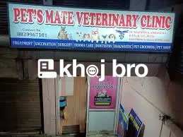   Bird Clinics With Advanced ICU Support for Critically Ill Exotic Bir