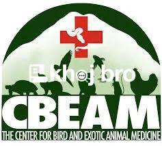   Bird Health Clinics Equipped for Respiratory and Cardiac Bird Cases