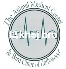   Pet Bird Clinics Near Me Offering Safe Grooming and Nail Trimming Ca