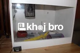   Bird Wellness Hospitals for Routine Screenings and Avian Health Chec