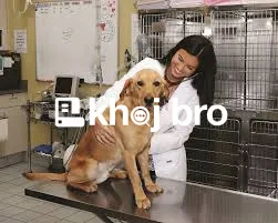  Exotic Bird Veterinary Centers Offering Tailored Grooming Assistance
