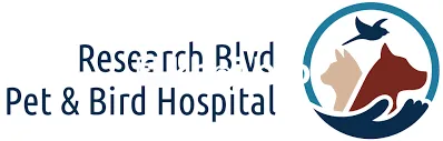   Exotic Bird Hospitals Providing Long-Term Care For Aged Exotic Birds