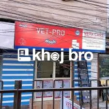   Bird Clinics Near Me With Affordable Checkups, Diagnostics, and Advi