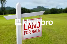 Premium Greenfield Land for Sale Surrounded by Scenic Natural Beauty