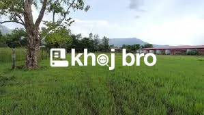 Affordable Agricultural Land for Sale with High Soil Fertility Value