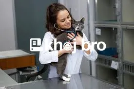   Caring Cat Clinic With Friendly Staff And Modern Veterinary Tools