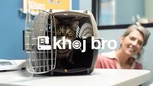   Cat Surgery and Wellness Clinic Equipped with Latest Medical Tools