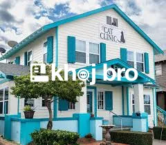   Cat Healthcare Professionals Offering Specialized Treatment Services