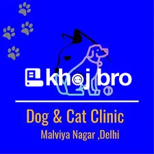   Local Cat Clinic Offering Daily Checkups and Monthly Health Packages