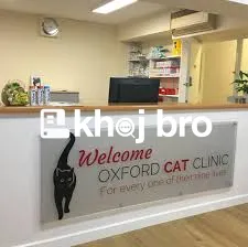   Complete Health Packages For Cats Offered At Specialized Pet Clinics