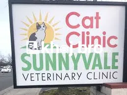   All-in-One Cat Health and Grooming Services Available At Our Clinic