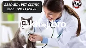   Cat Behavior and Training Support Services Available At Trusted Clin